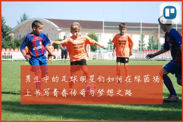 男生中的足球明星们如何在绿茵场上书写青春传奇与梦想之路