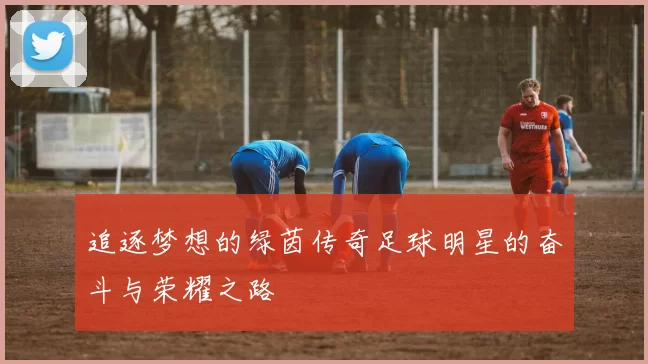 追逐梦想的绿茵传奇足球明星的奋斗与荣耀之路