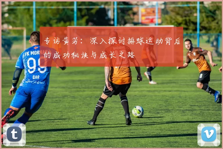 专访黄芳：深入探讨排球运动背后的成功秘诀与成长之路