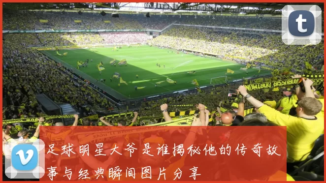 足球明星大爷是谁揭秘他的传奇故事与经典瞬间图片分享