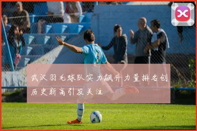 武汉羽毛球队实力飙升力量排名创历史新高引发关注