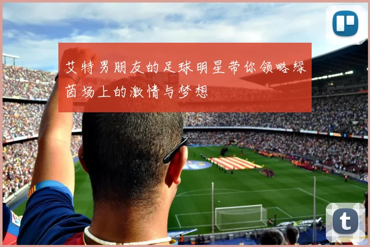 艾特男朋友的足球明星带你领略绿茵场上的激情与梦想