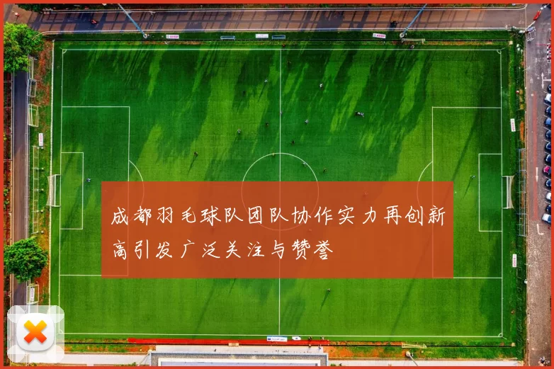 成都羽毛球队团队协作实力再创新高引发广泛关注与赞誉