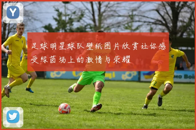 足球明星球队壁纸图片欣赏让你感受绿茵场上的激情与荣耀