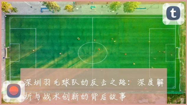 深圳羽毛球队的反击之路：深度解析与战术创新的背后故事