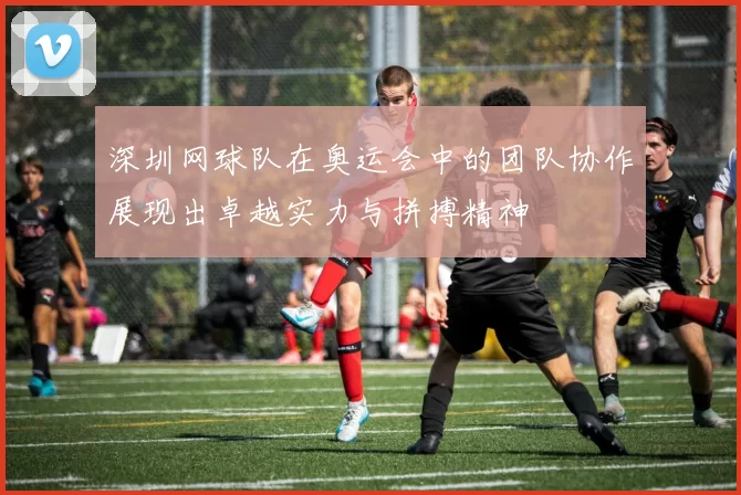 深圳网球队在奥运会中的团队协作展现出卓越实力与拼搏精神