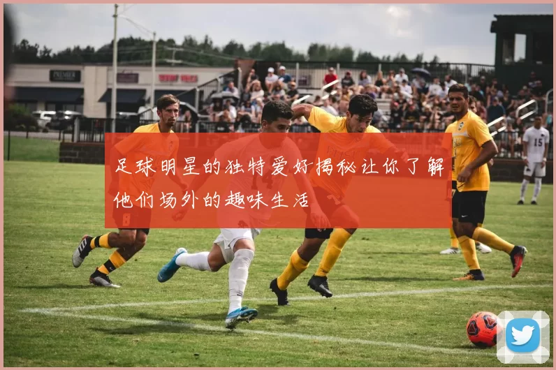 足球明星的独特爱好揭秘让你了解他们场外的趣味生活