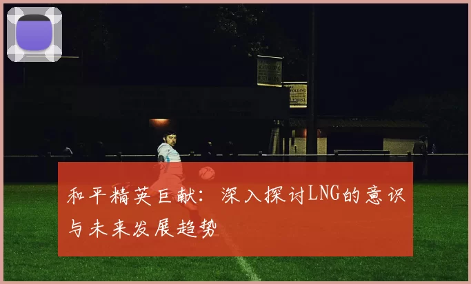 和平精英巨献：深入探讨LNG的意识与未来发展趋势