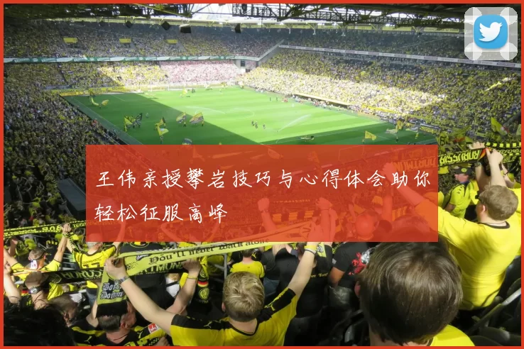 王伟亲授攀岩技巧与心得体会助你轻松征服高峰