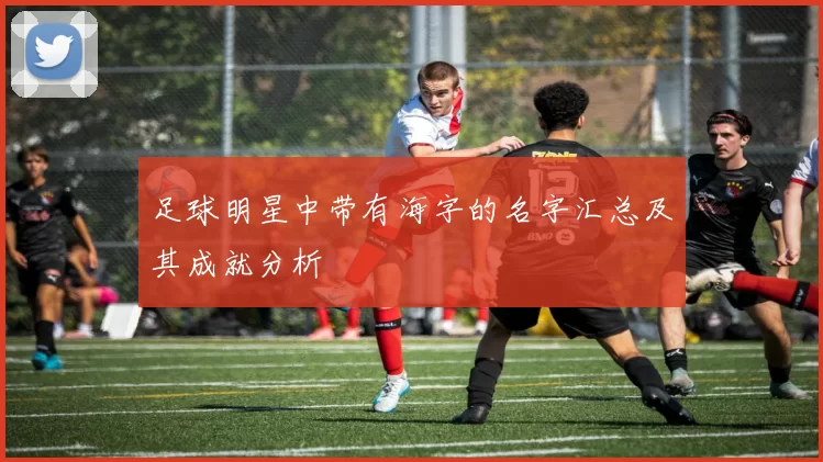 足球明星中带有海字的名字汇总及其成就分析