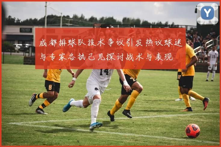 成都排球队技术争议引发热议球迷与专家各执己见探讨战术与表现