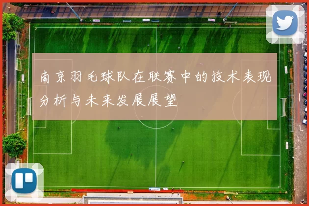 南京羽毛球队在联赛中的技术表现分析与未来发展展望