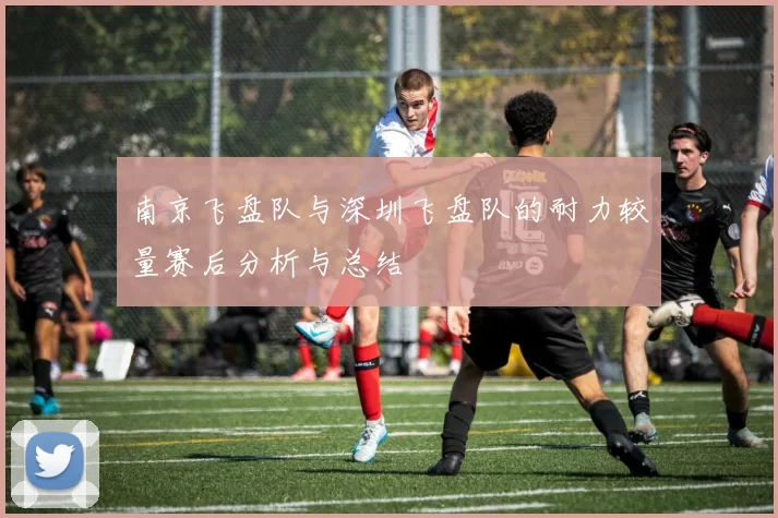 南京飞盘队与深圳飞盘队的耐力较量赛后分析与总结