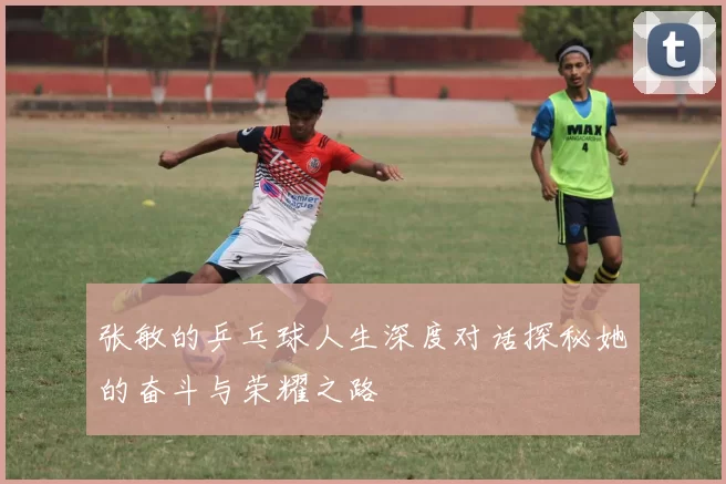 张敏的乒乓球人生深度对话探秘她的奋斗与荣耀之路