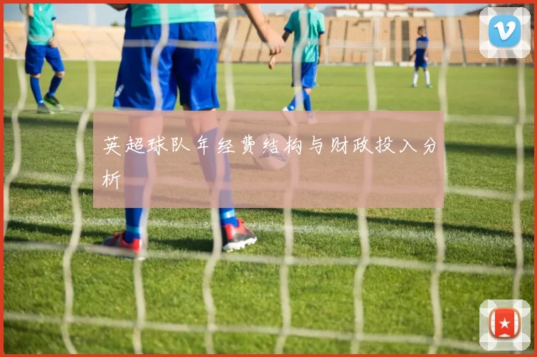 英超球队年经费结构与财政投入分析