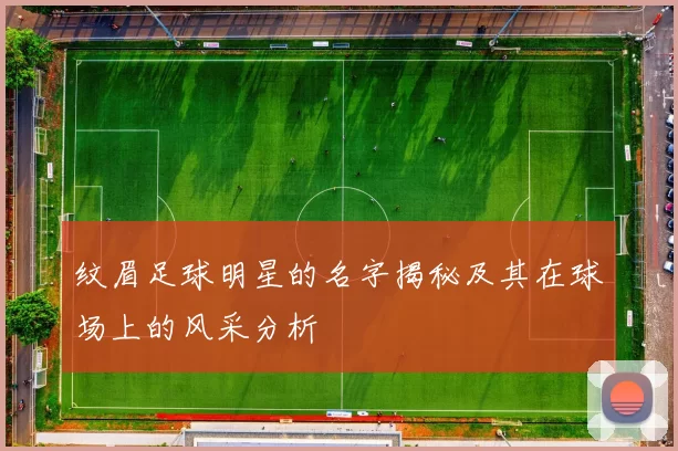 纹眉足球明星的名字揭秘及其在球场上的风采分析