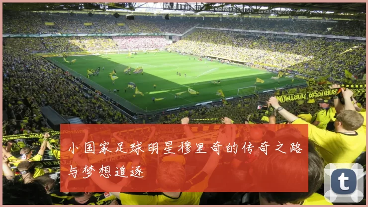 小国家足球明星穆里奇的传奇之路与梦想追逐