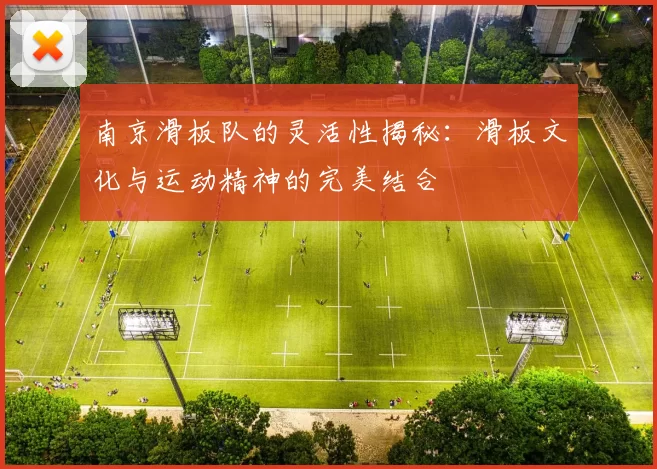 南京滑板队的灵活性揭秘：滑板文化与运动精神的完美结合